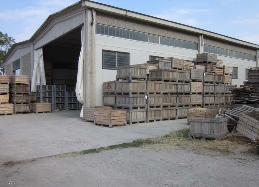 immagine annuncio 3 di 10