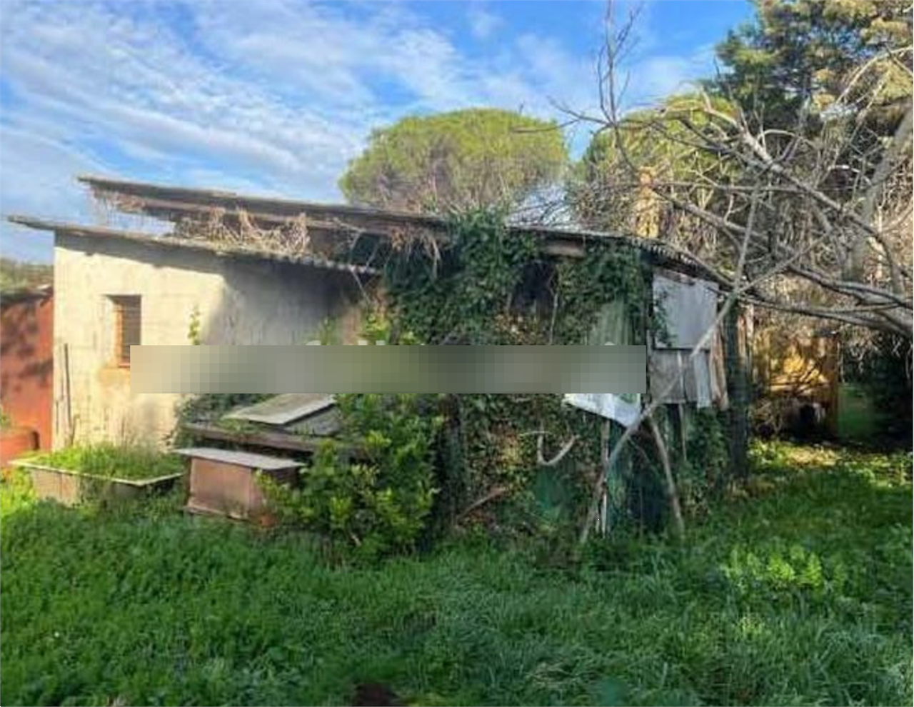 immagine annuncio 9 di 10