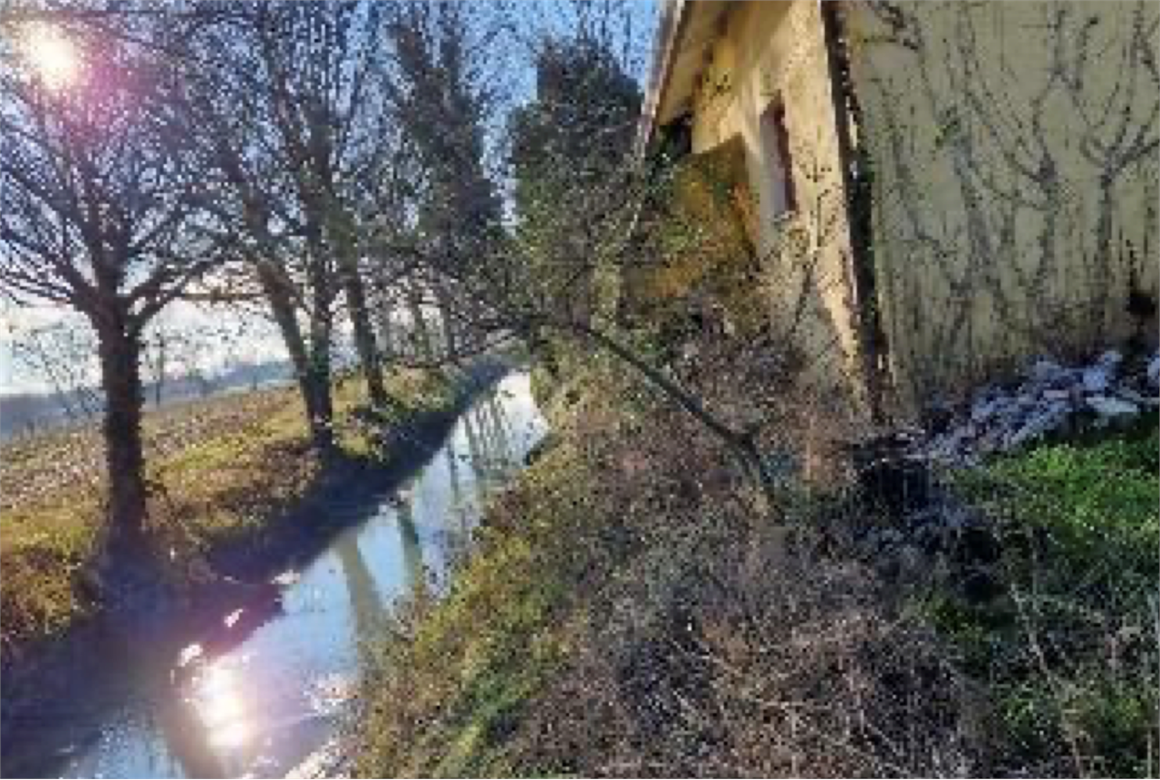 immagine annuncio 3 di 7