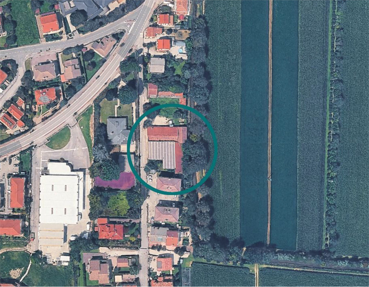 immagine annuncio 6 di 7