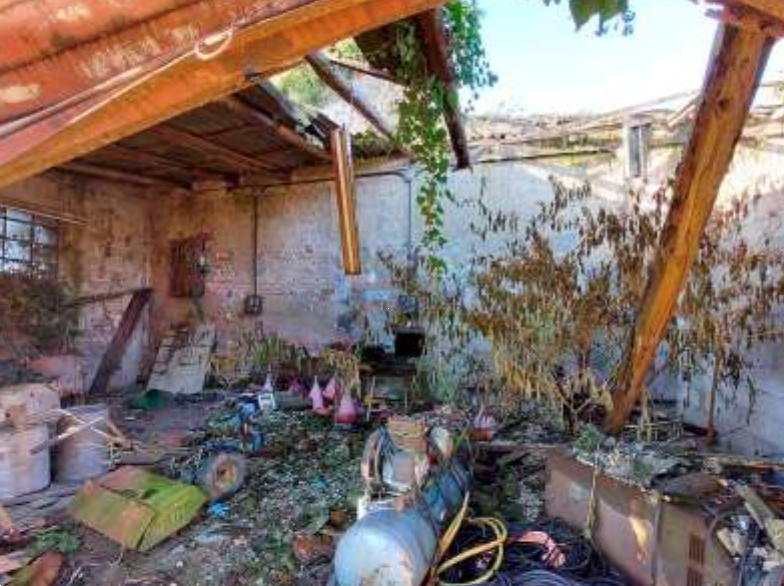 immagine annuncio 6 di 10