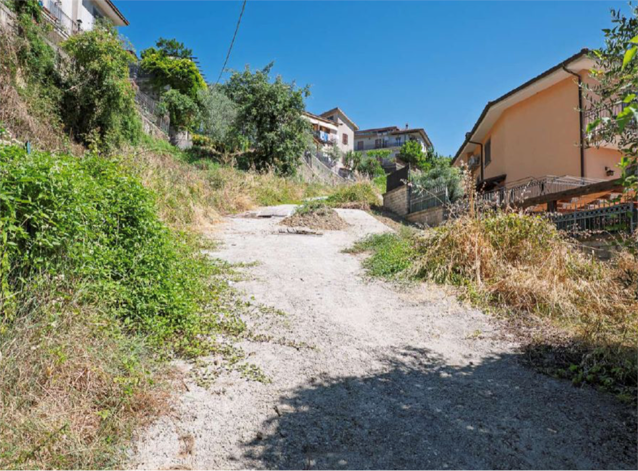 immagine annuncio 1 di 9