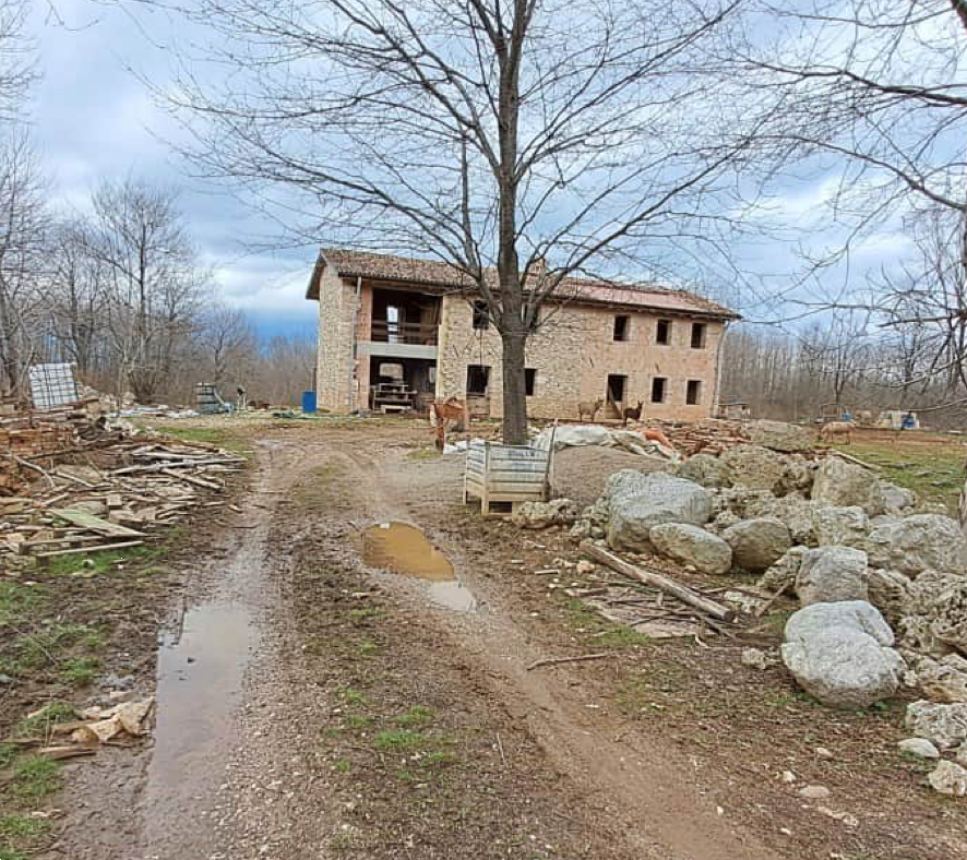 immagine annuncio 3 di 10