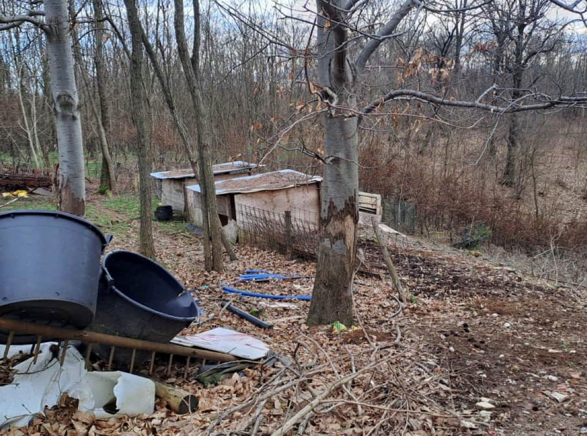 immagine annuncio 9 di 10