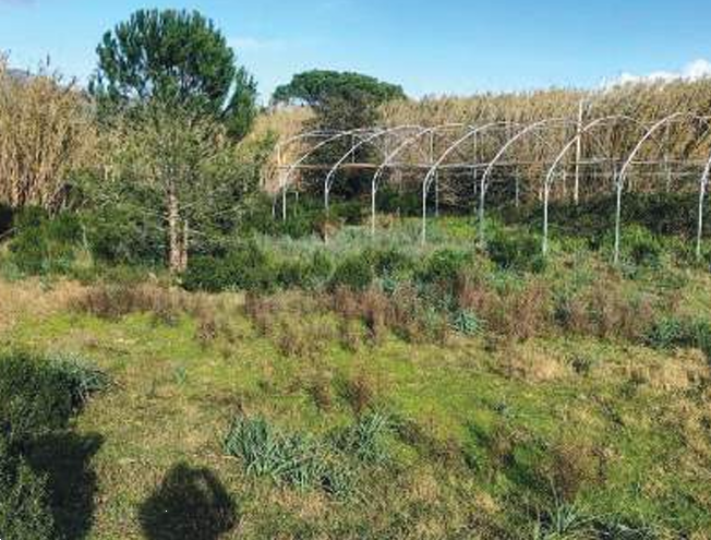 immagine annuncio 4 di 10