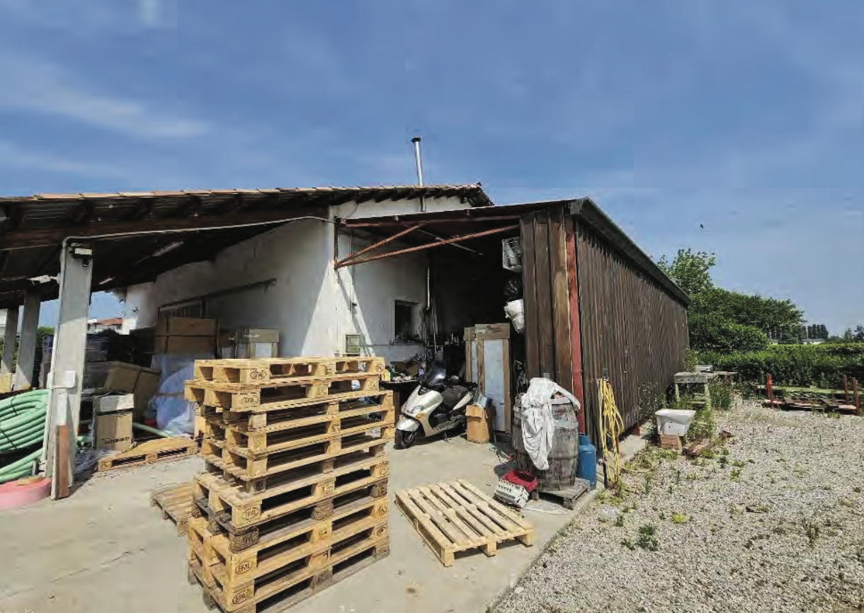 immagine annuncio 8 di 10