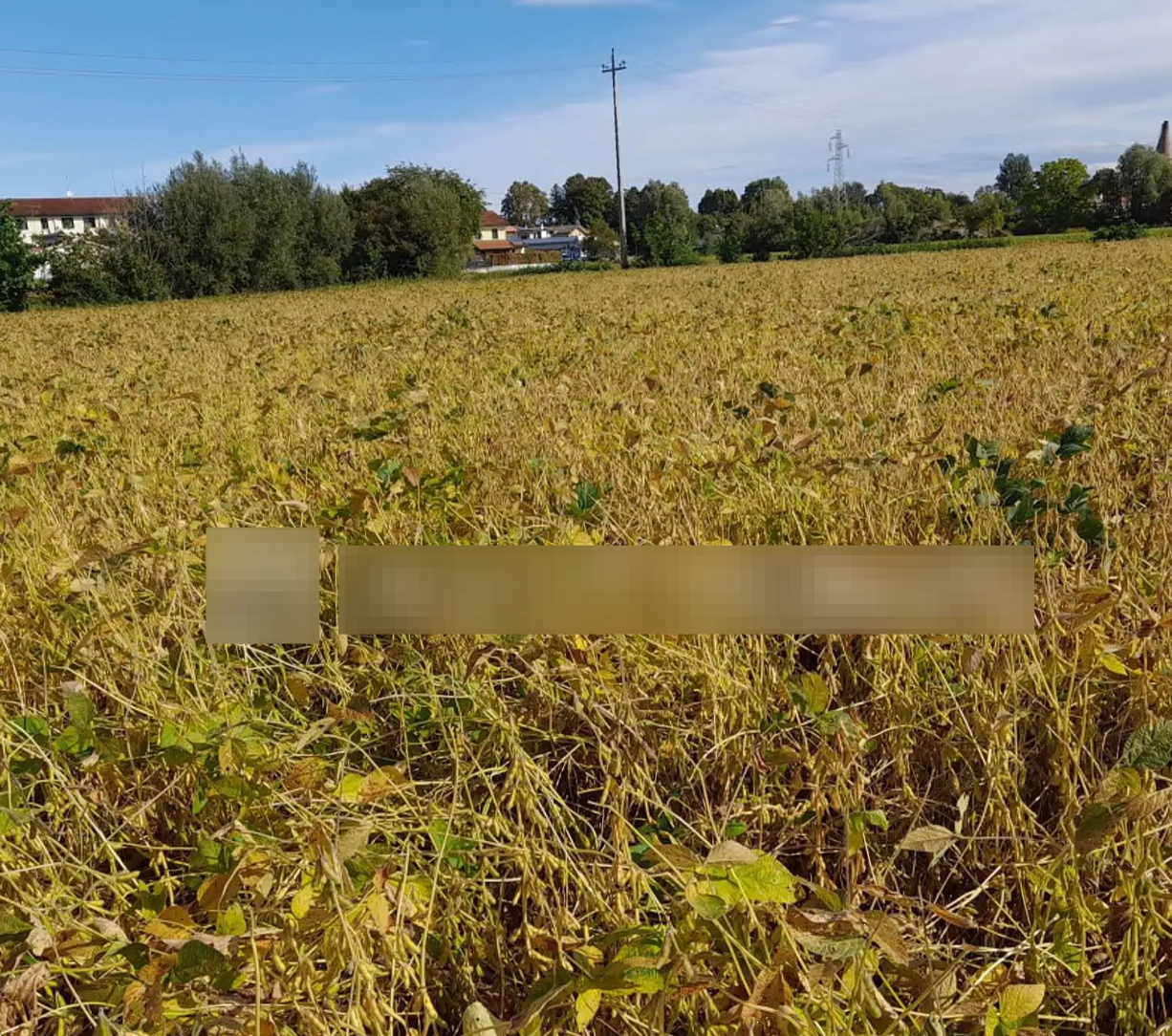 immagine annuncio 4 di 10