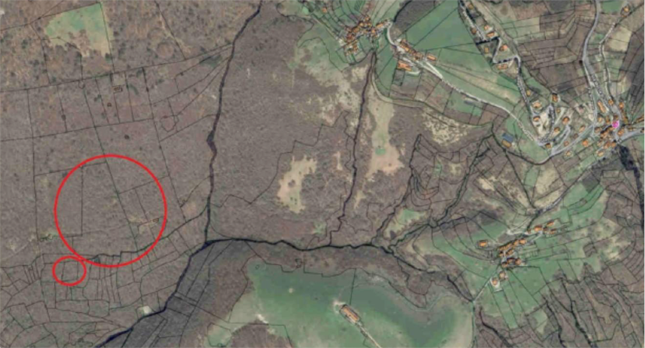 immagine annuncio 1 di 10