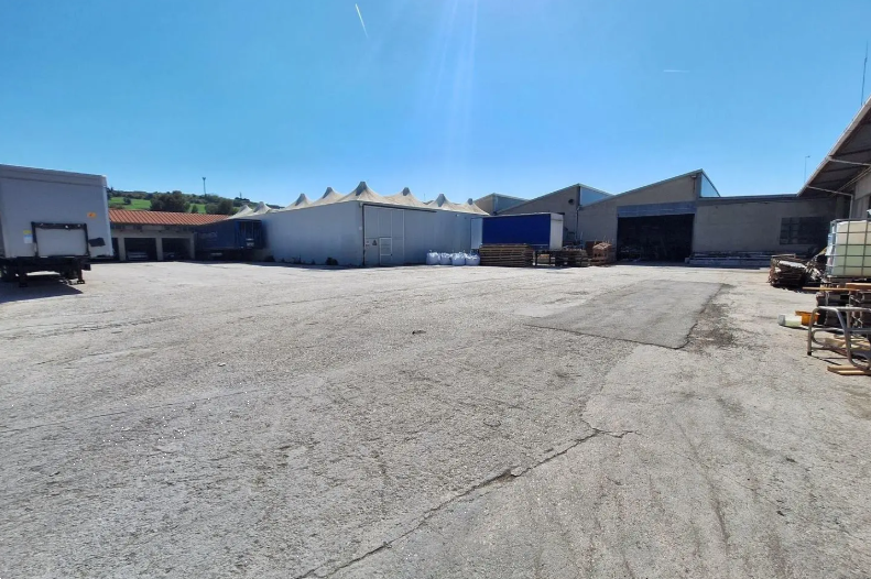 immagine annuncio 5 di 10