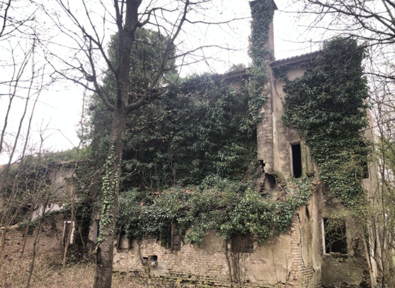 immagine annuncio 6 di 10