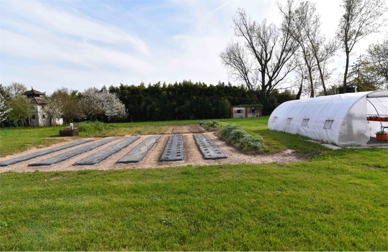 immagine annuncio 4 di 10