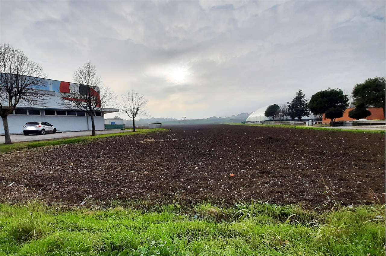 immagine annuncio 6 di 10