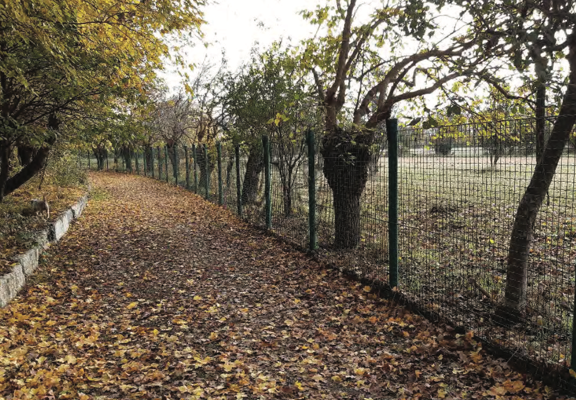 immagine annuncio 8 di 10