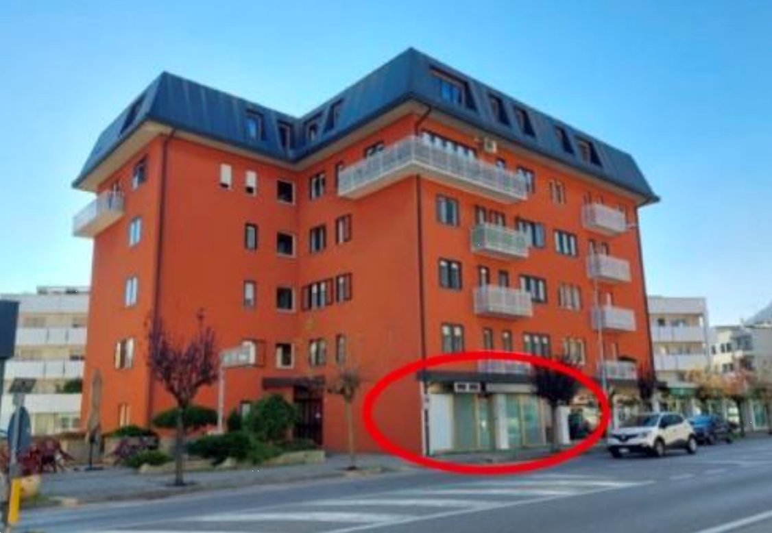 immagine annuncio 2 di 10