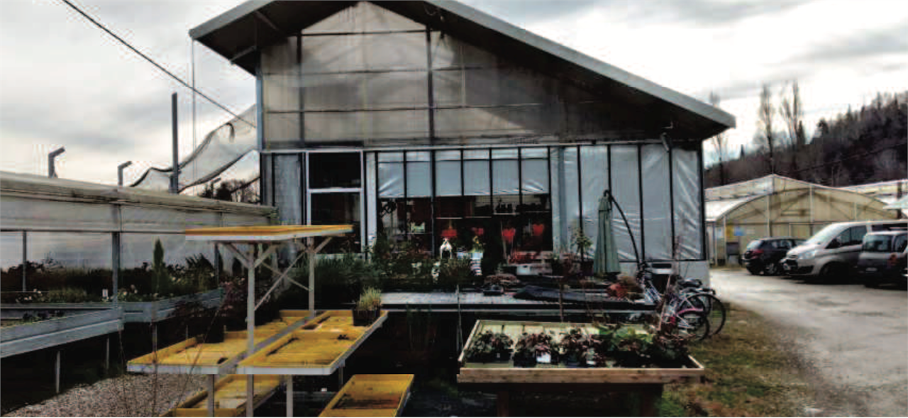 immagine annuncio 4 di 10