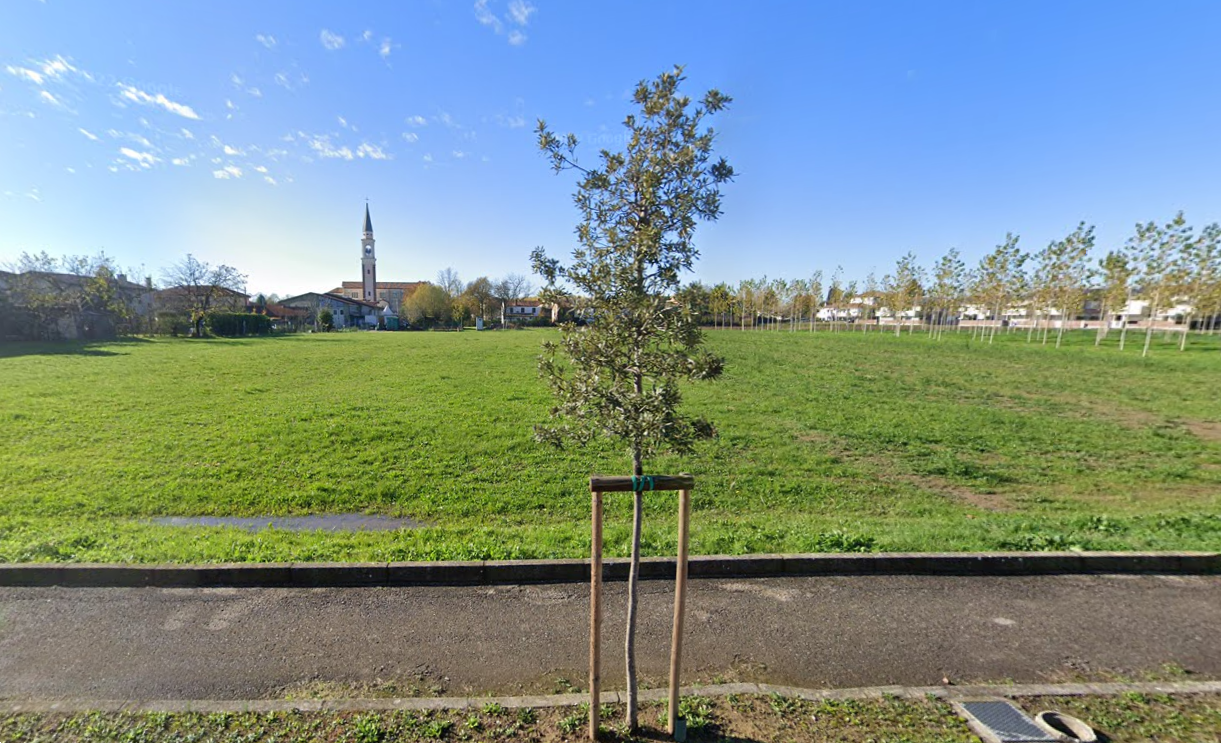 immagine annuncio 3 di 10