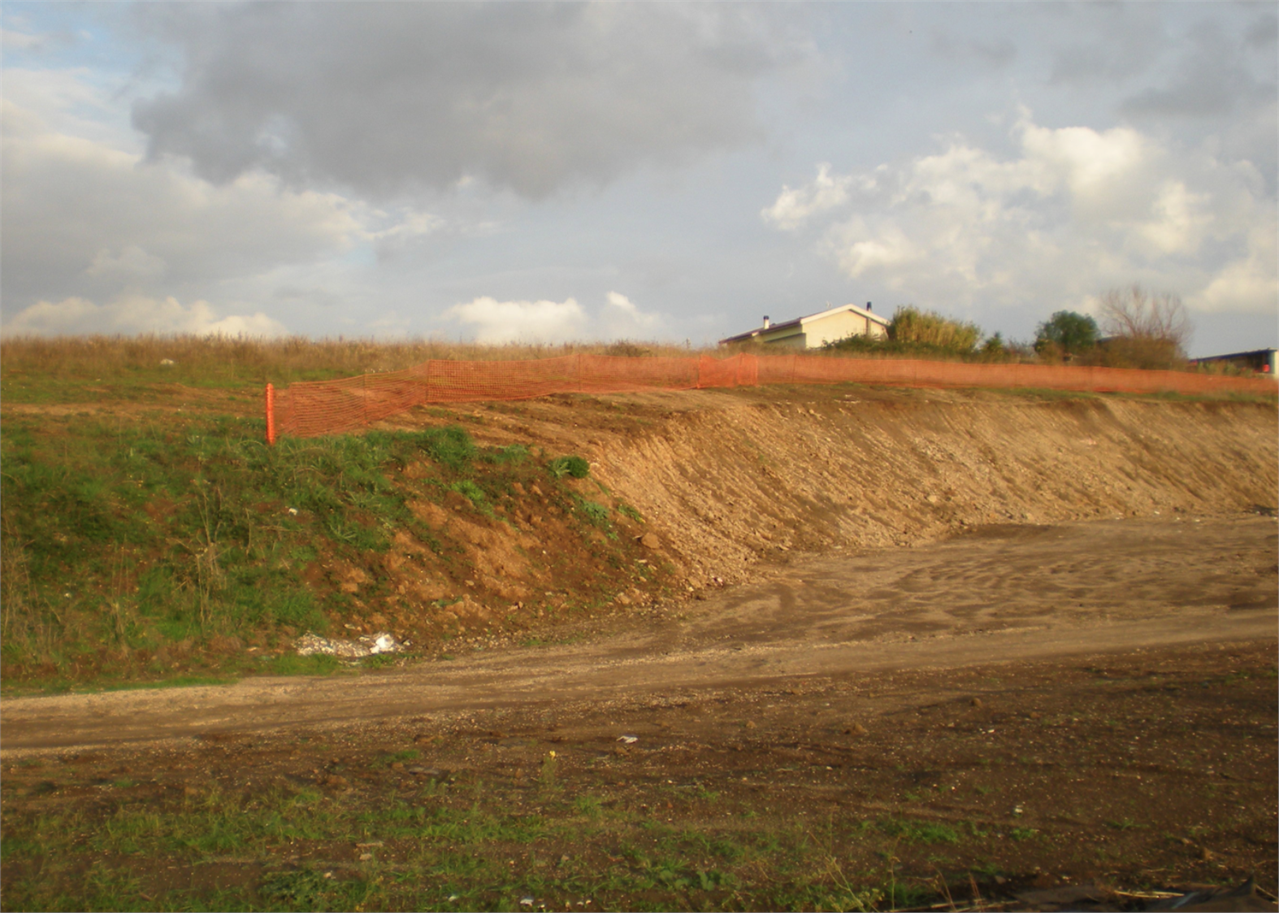 immagine annuncio 3 di 8