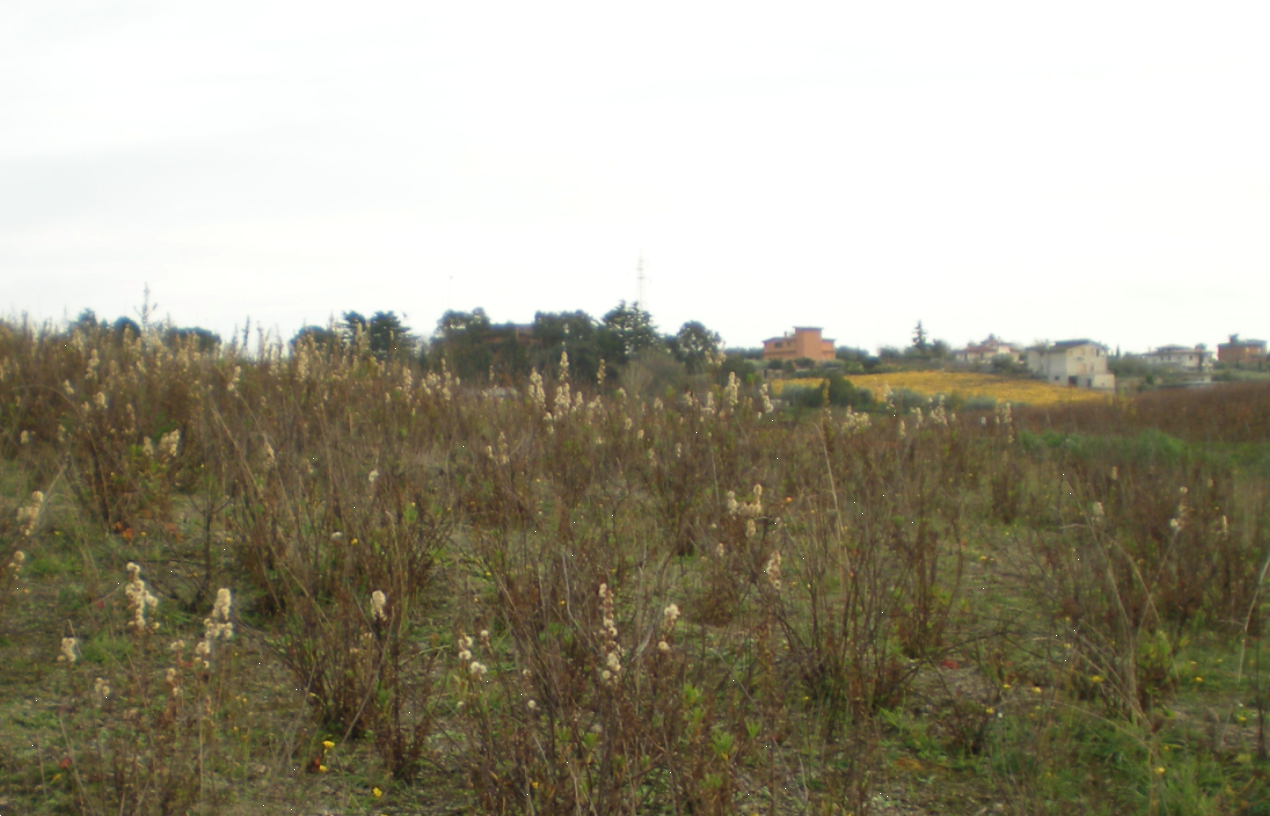 immagine annuncio 6 di 8