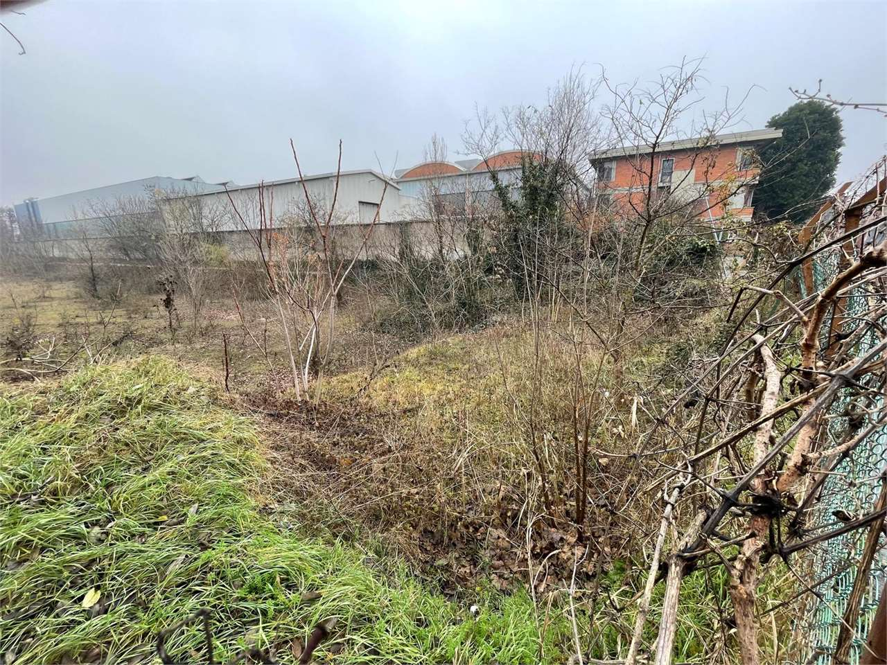 immagine annuncio 1 di 10