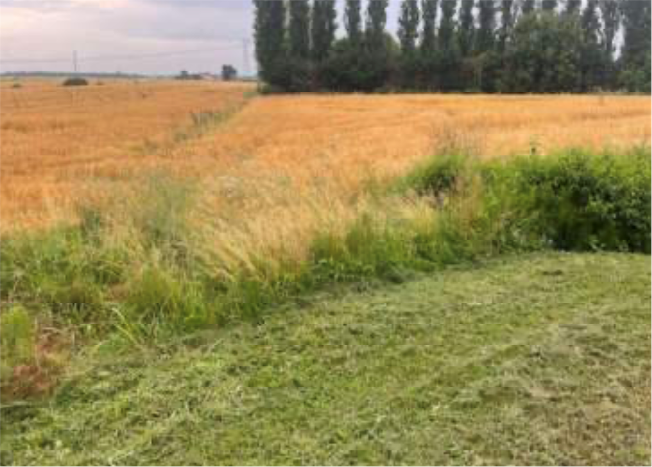 immagine annuncio 8 di 9