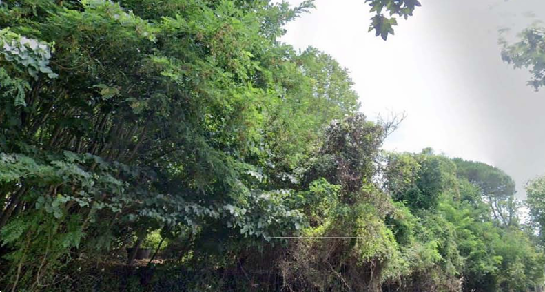 immagine annuncio 3 di 8