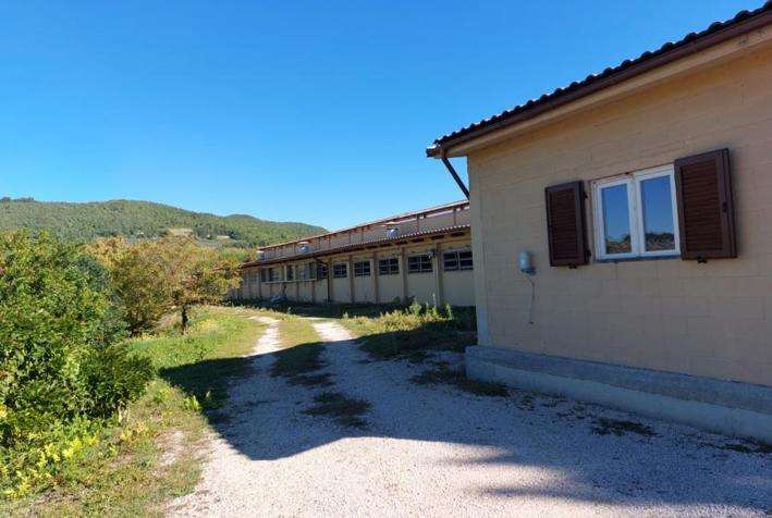 immagine annuncio 8 di 10