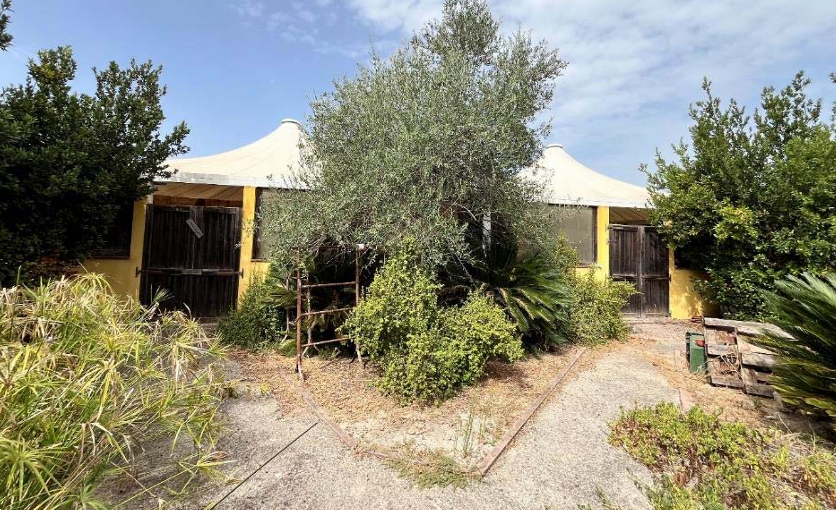 immagine annuncio 8 di 10