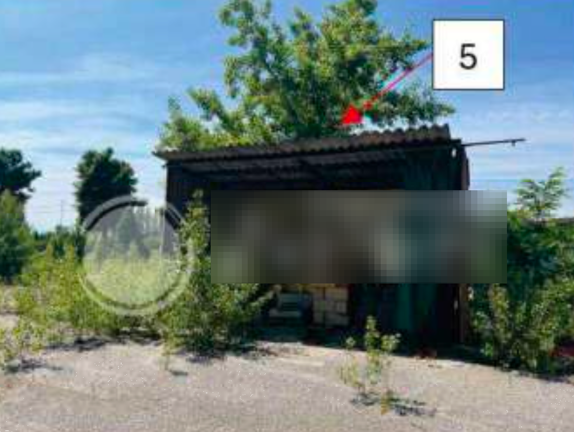 immagine annuncio 7 di 8