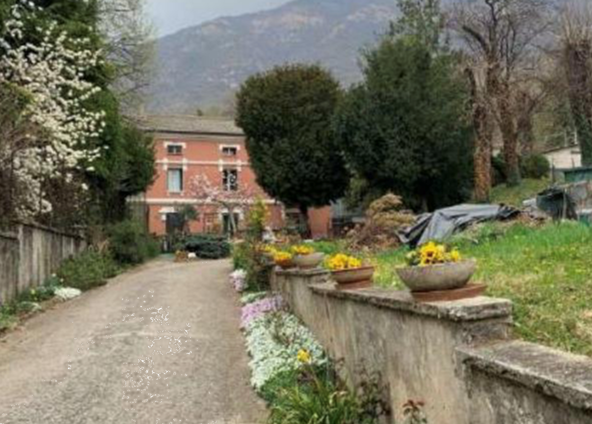 immagine annuncio 7 di 10