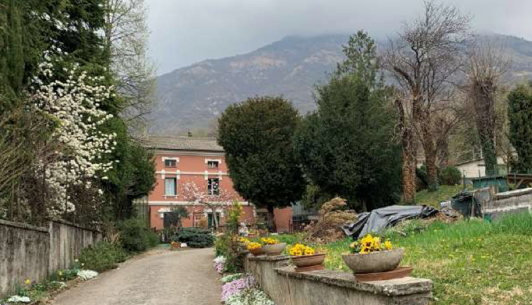 immagine annuncio 8 di 10