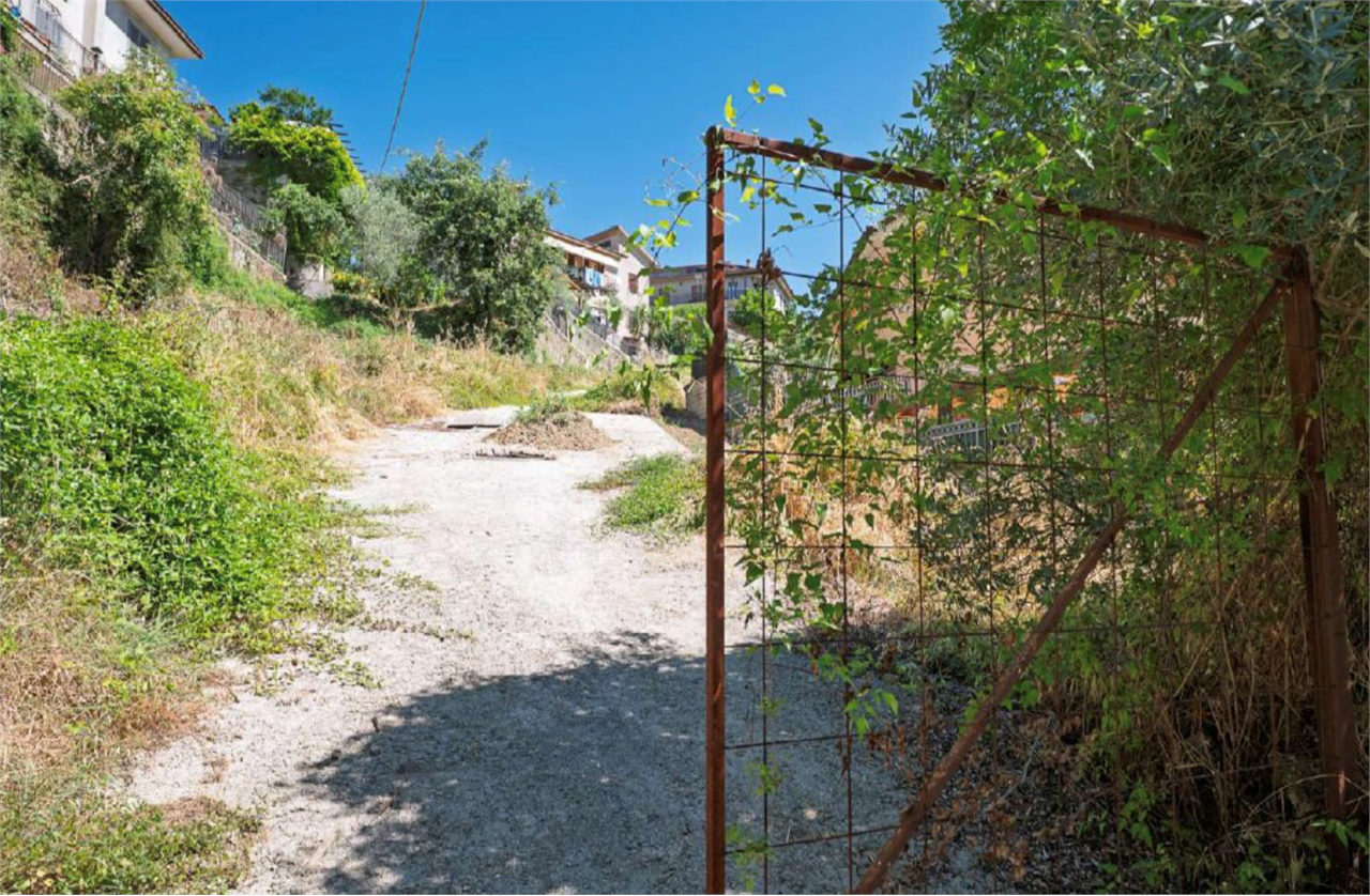 immagine annuncio 7 di 9