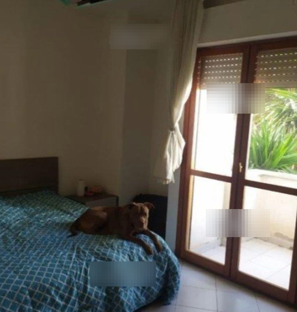 immagine annuncio 1 di 10