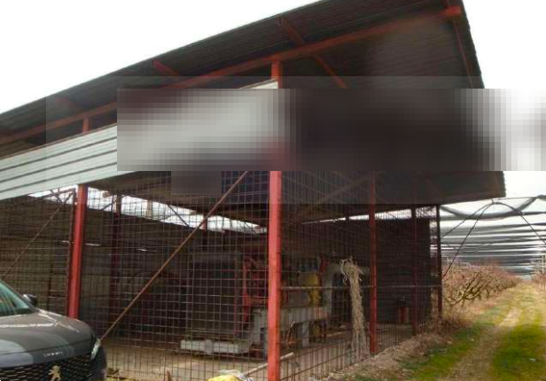 immagine annuncio 7 di 10