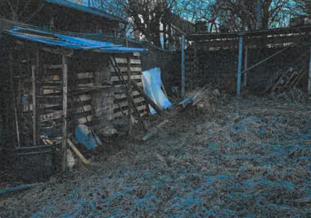 immagine annuncio 9 di 10