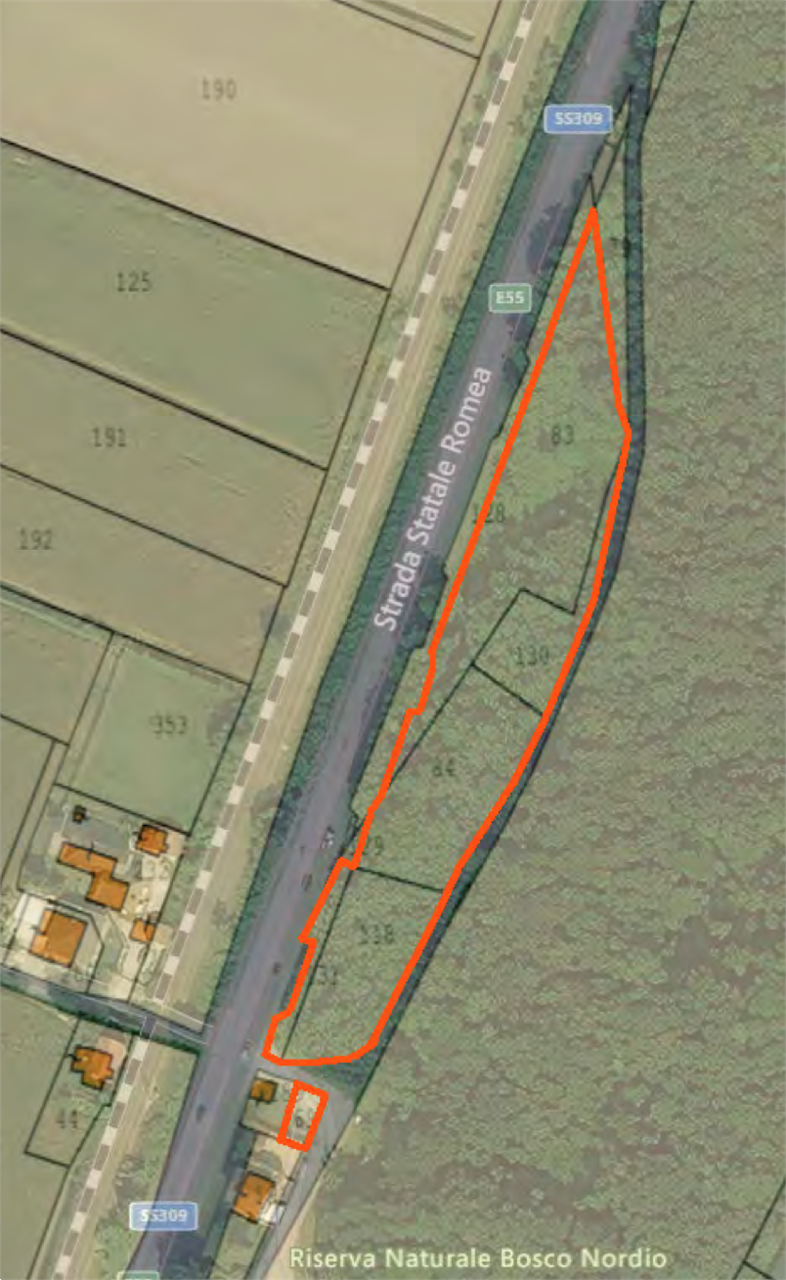 immagine annuncio 1 di 9