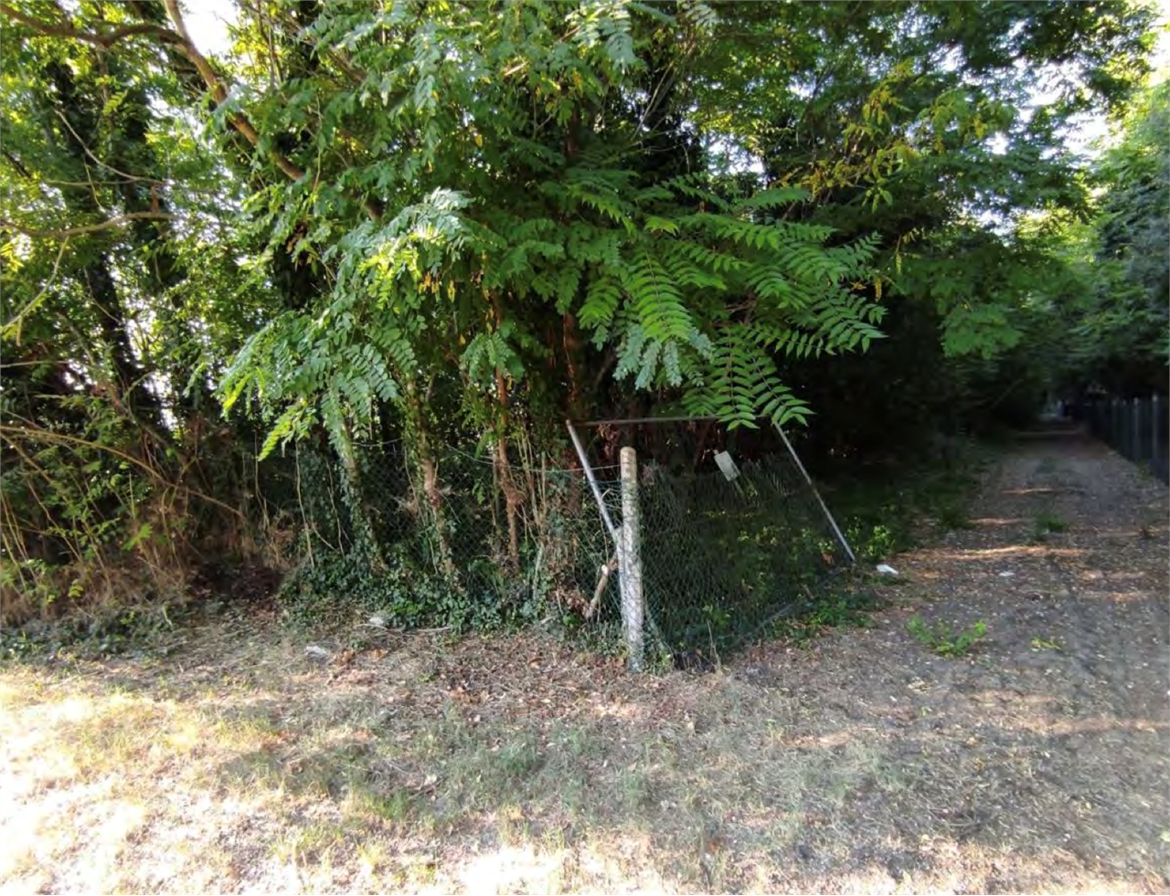 immagine annuncio 6 di 9