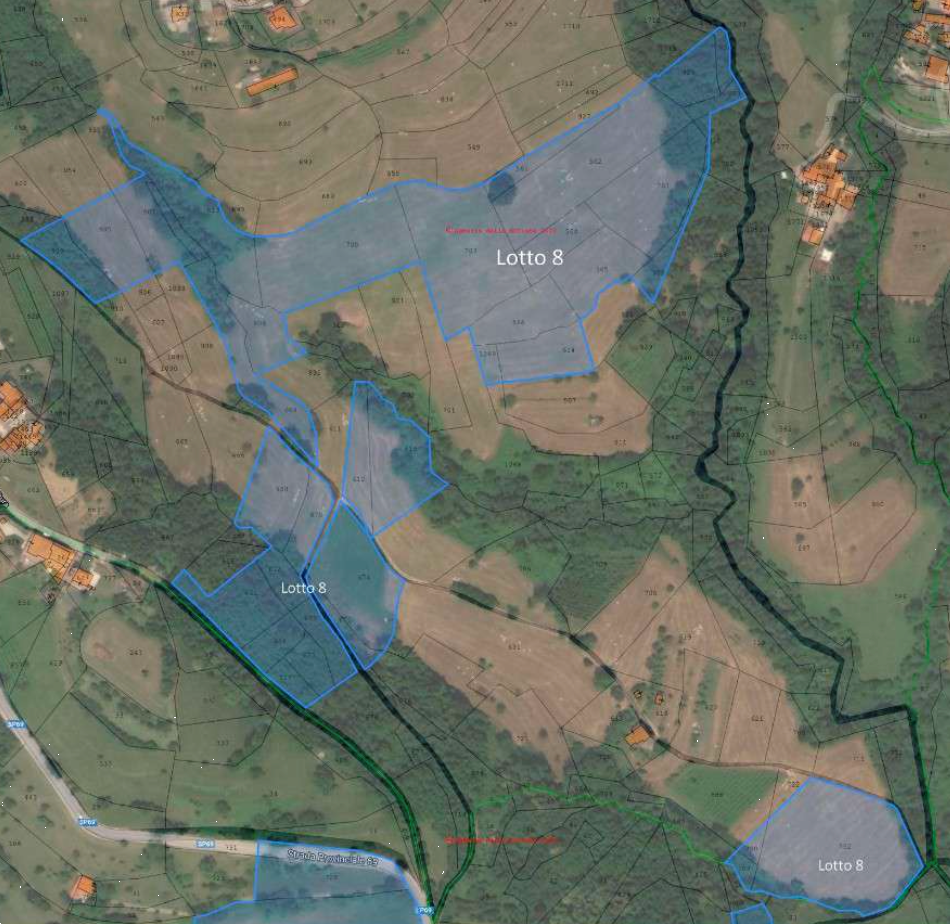 immagine annuncio 8 di 10