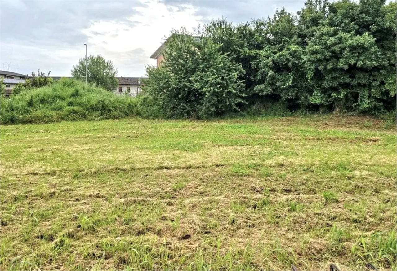 immagine annuncio 6 di 9