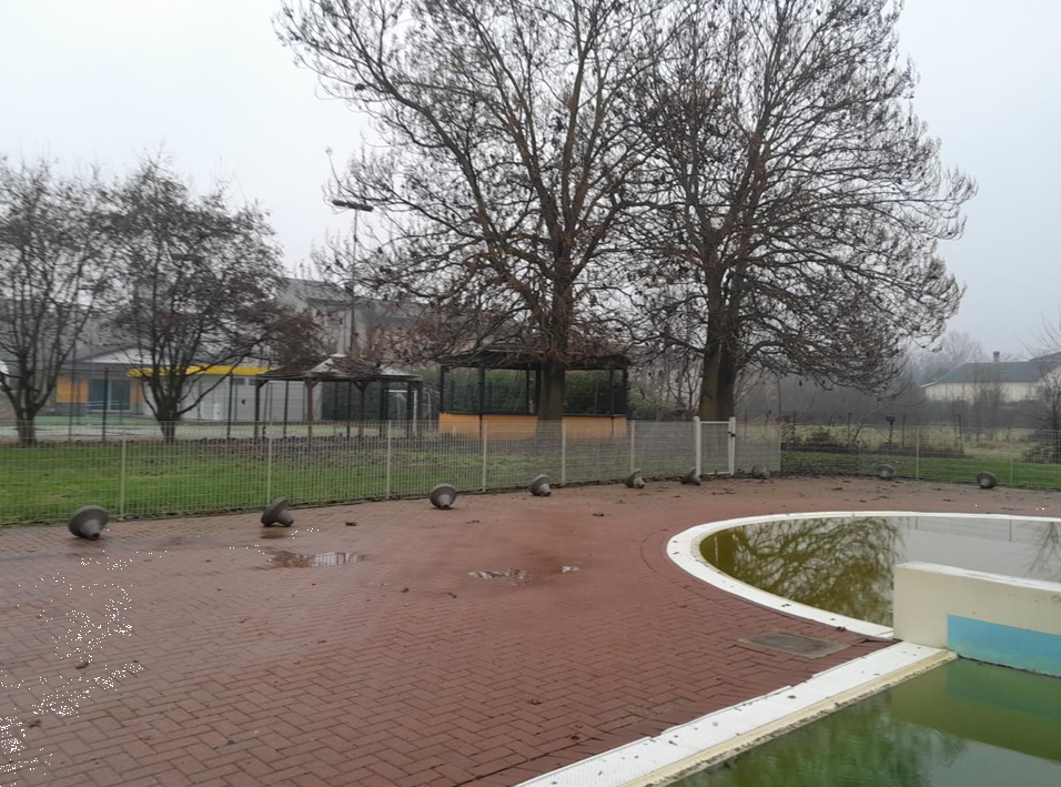 immagine annuncio 1 di 10