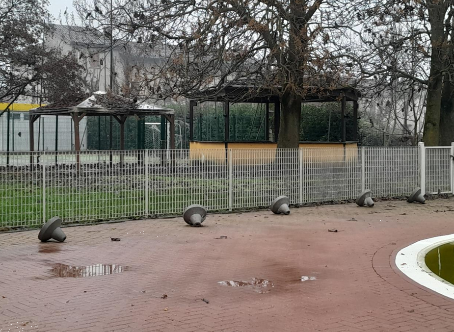 immagine annuncio 6 di 10