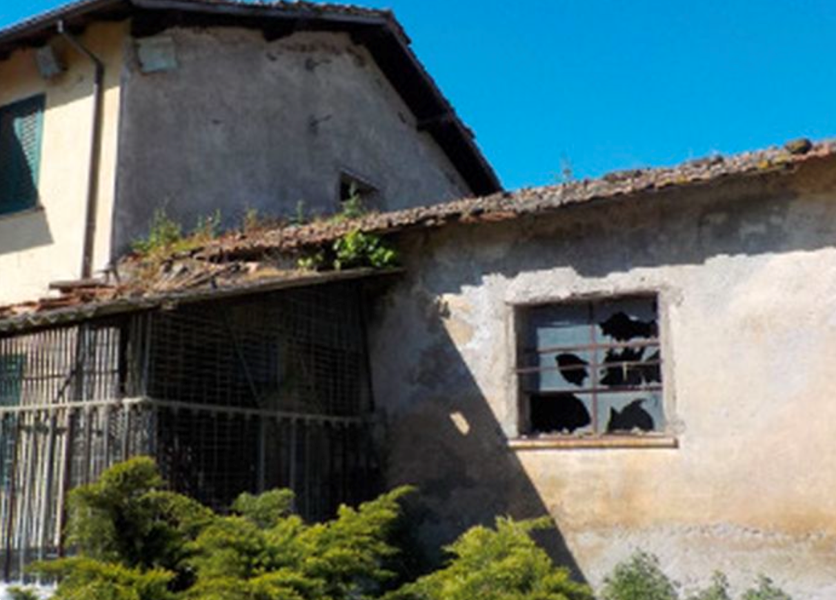 immagine annuncio 8 di 10