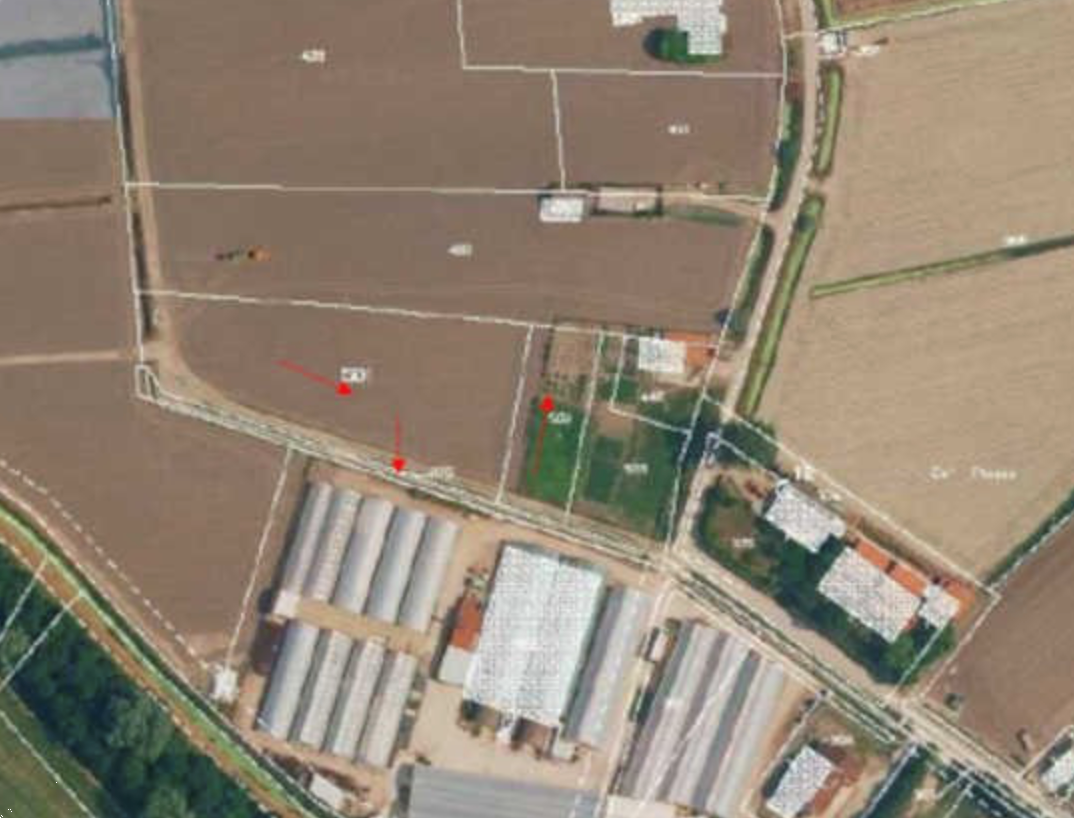 immagine annuncio 6 di 10