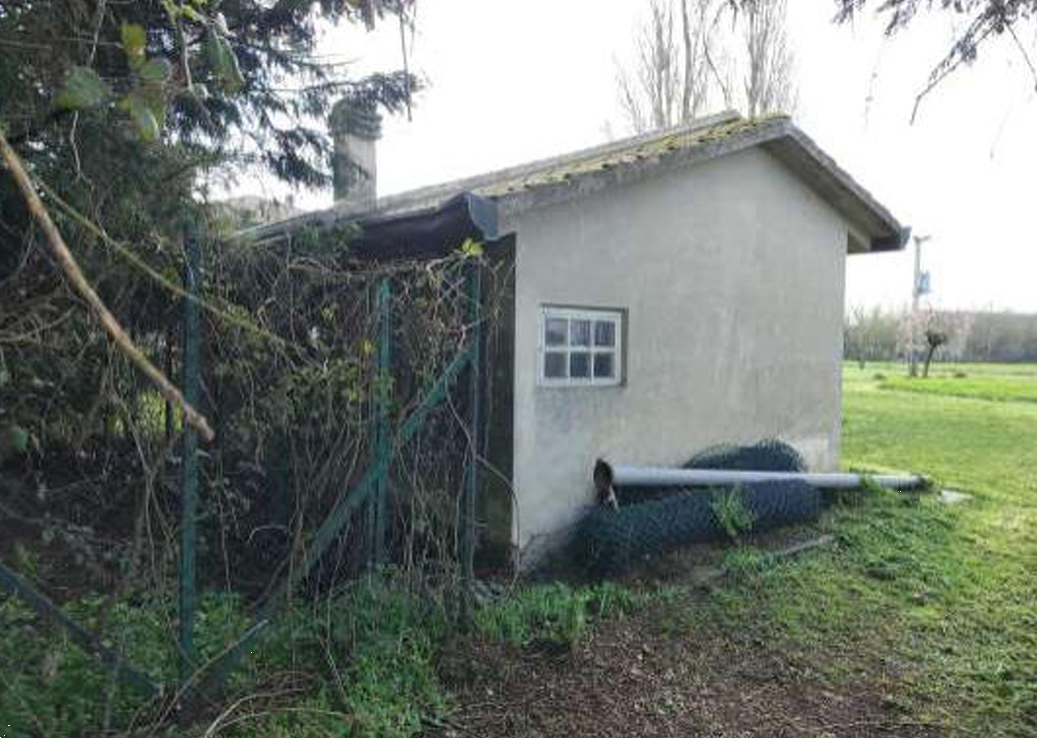 immagine annuncio 8 di 10