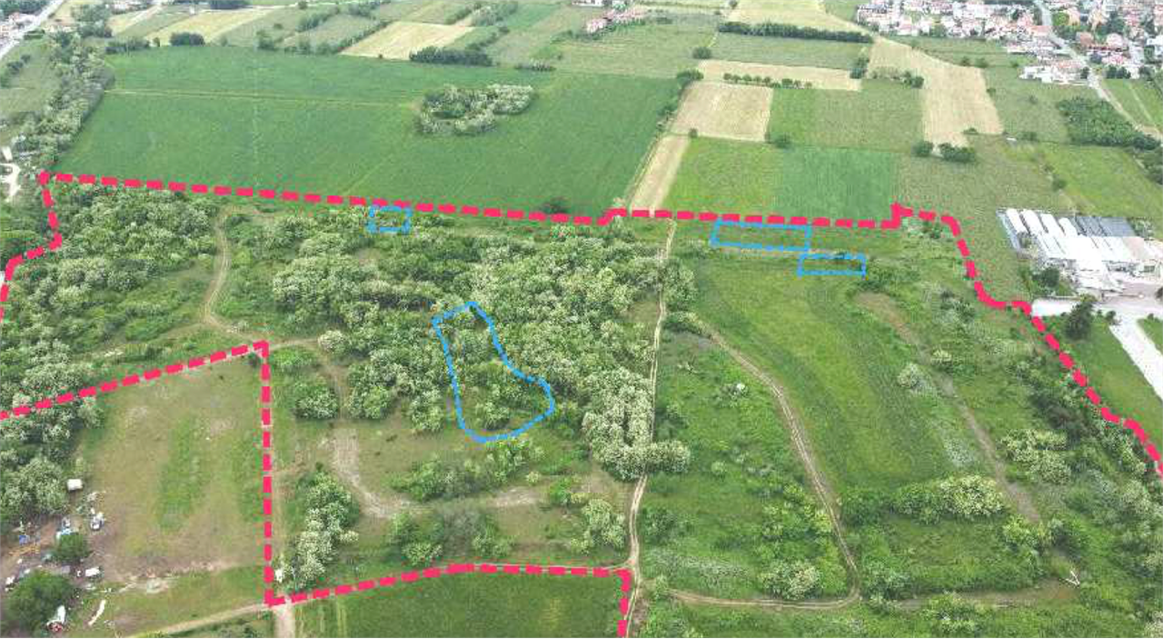 immagine annuncio 3 di 10