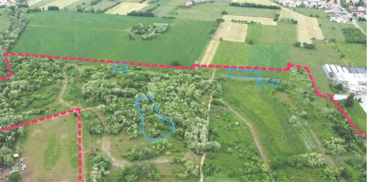 immagine annuncio 1 di 10