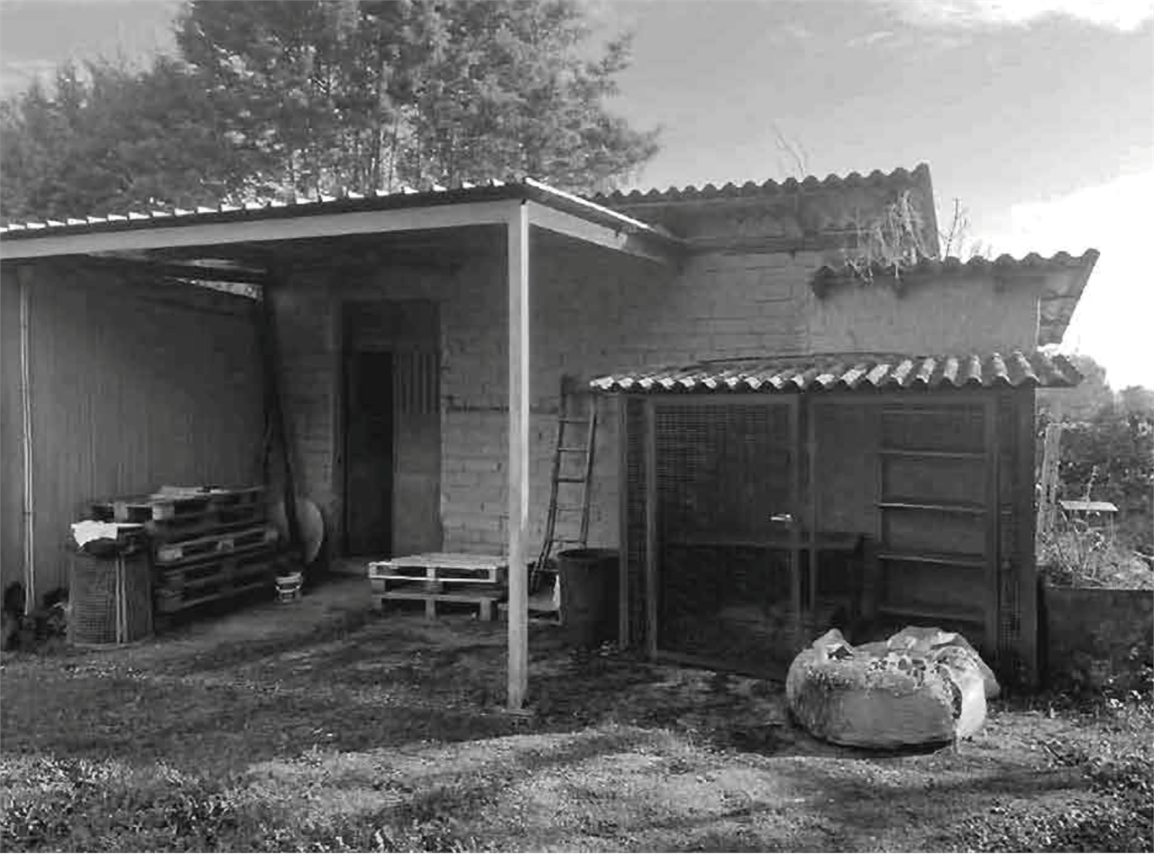 immagine annuncio 1 di 10