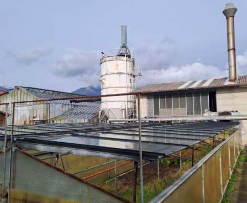 immagine annuncio 7 di 10