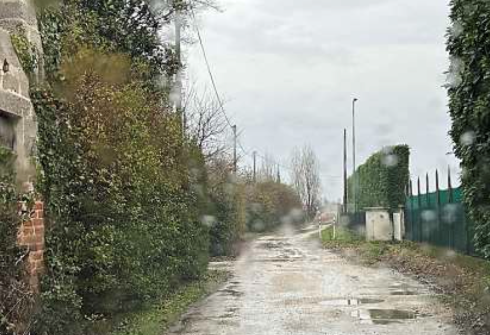 immagine annuncio 4 di 10