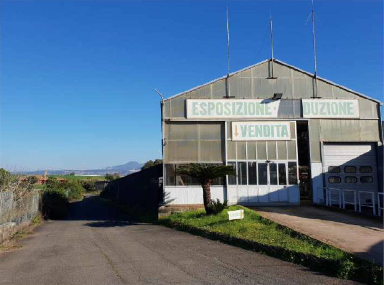 immagine annuncio 3 di 10