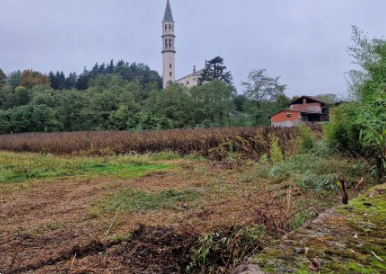 immagine annuncio 5 di 9